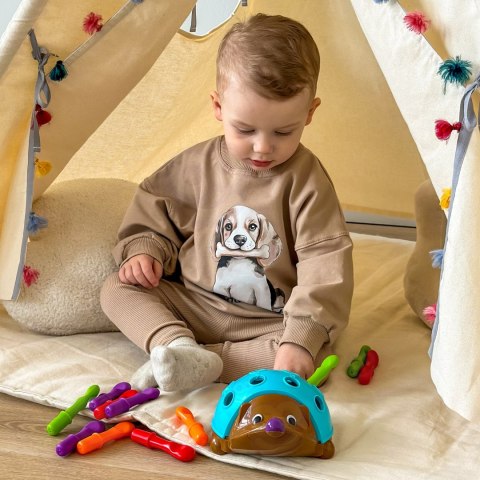 Woopie WOOPIE Gra Zręcznościowa Jeżyk Sorter Montessori Nauka Liczb i Kolorów 4w1
