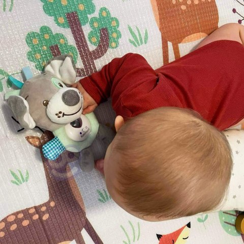 Woopie Baby WOOPIE BABY Interaktywny Pluszak Przytulanka dla Niemowląt Światło Dźwięk Piesek Usypiacz