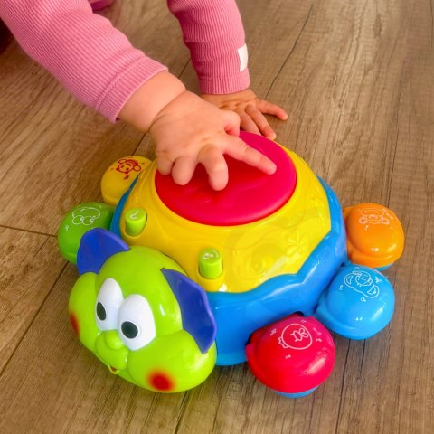 Woopie Baby WOOPIE Zabawka Interaktywna do Raczkowania Biedronka