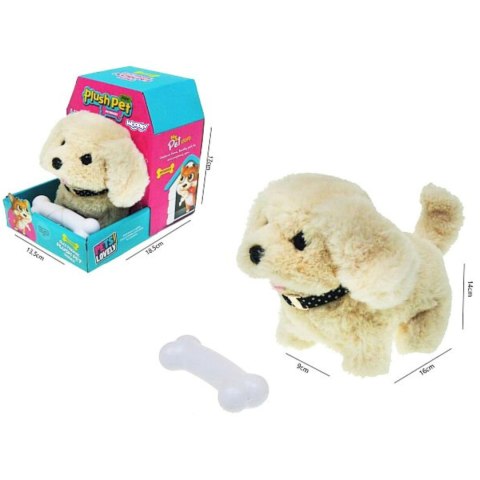 Woopie WOOPIE Piesek Interaktywny Pluszak z Kością Bichon Golden Retriever