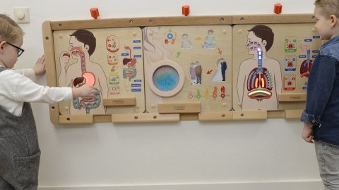 Masterkidz MASTERKIDZ Tablica Edukacyjna Układ Trawienny Montessori