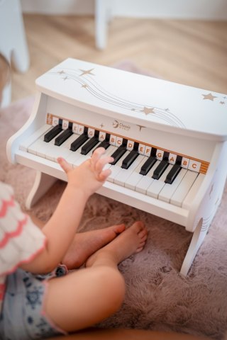 Classic World CLASSIC WORLD Pianino Czarne Drewniane Fantasy