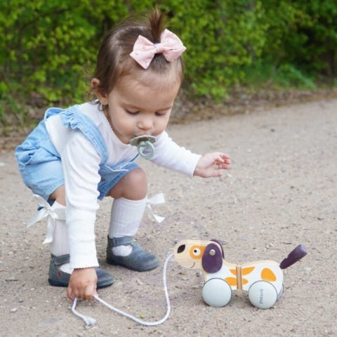 Viga Toys VIGA PolarB Drewniany Piesek do Ciągnięcia Koordynacja, Równowaga