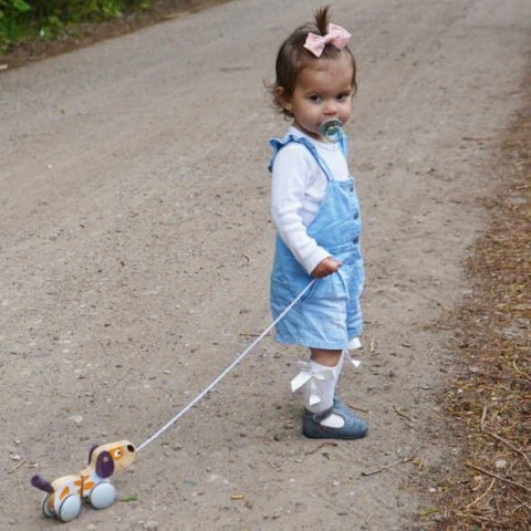 Viga Toys VIGA PolarB Drewniany Piesek do Ciągnięcia Koordynacja, Równowaga