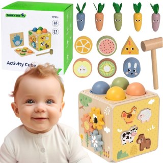 Tooky Toy TOOKY TOY Drewniana Wiosenna Kostka Edukacyjna 5w1