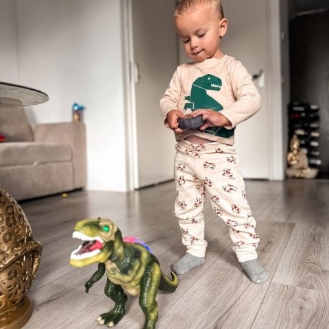 Woopie WOOPIE Dinozaur Zdalnie Sterowany RC Robot T-Rex