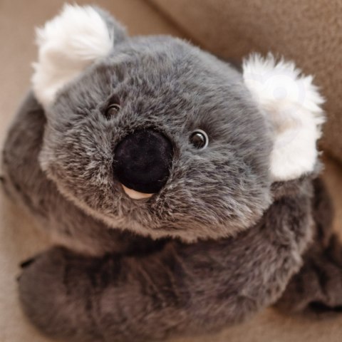 Woopie WOOPIE Pluszak Obciążeniowy Koala Antystresowy Sensoryczny Ciężkomiś Przytulanka 65cm 1500g
